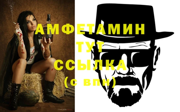 дживик Богородицк