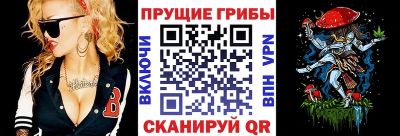 Галлюциногенные грибы Psilocybine cubensis  Саяногорск 